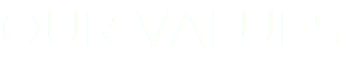 OUR VALUES